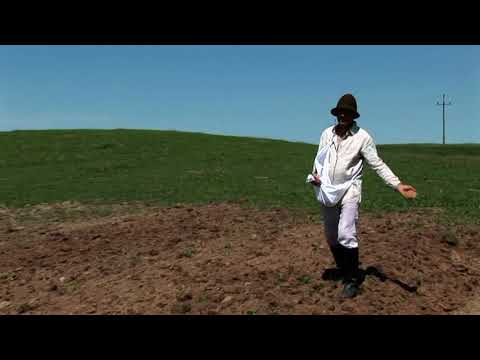 Zagroda Edukacyjna Patataj - Koń w Gospodarstwie