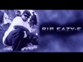 Eazy E- Wut Would You Do (with lyrics) 