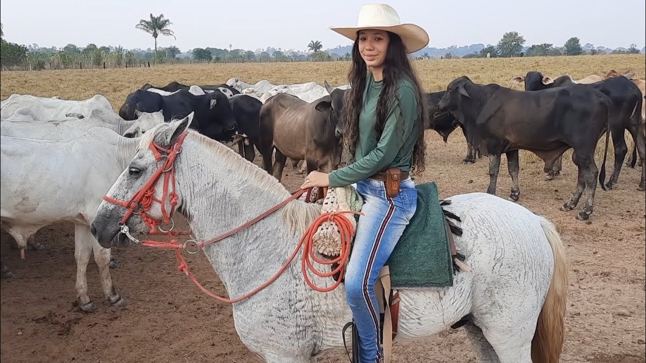 ESTAMOS VIVENDO DIAS DIFÍCEIS SECA SEVERA ACABOU TUDO