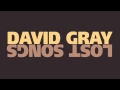 David Gray - "Red Moon"