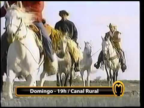VEJA NO MANGALARGA MARCHADOR TV DESSA SEMANA - 12/02/2012
