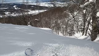 No Track Deep Powder at Kamui Ski Links in Japan