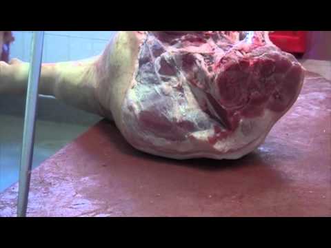 Film Verkoeijen gemaakt door Stagiair Robin Smets oktober 2015