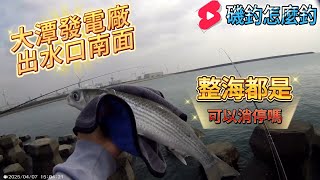 大潭發電廠出水口南面 什麼? 整海都是? 可以消停一下嗎？