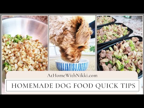 Homemade Dog Food Quick Tips