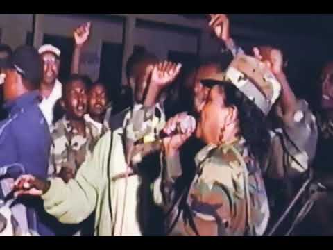 Jaal Ilfinesh Qannoo WBO ko Maaloore@2020/27/10