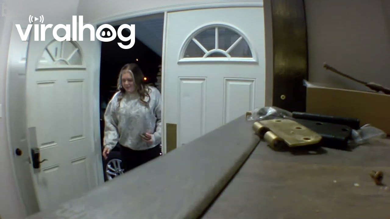 Man Immediately Stumbles Down Split Level Staircase || ViralHog