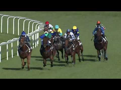 2023.08.13. 8. Futam - FEHÉR GOLYÓ HENDIKEP (II.o.)