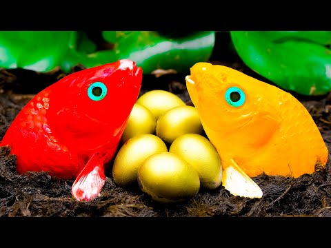 Mud Pirate Island - Koi Fish Caught By Crab And Eel Pirates - Stop Motion Fish In Mud Coco
