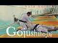 Armenian Team Gojushiho Dai Kata Bunkai