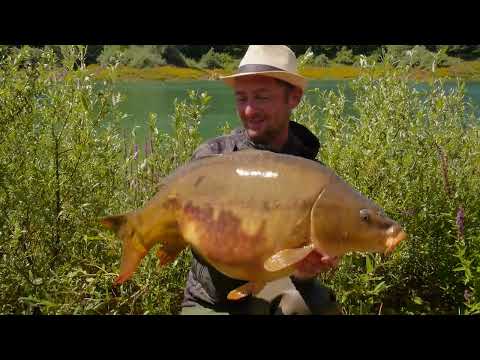 Karpfenangeln in Kroatien. Sonntag 25.12.2022 Youtube: @robinillner  ➡️ https://youtu.be/XZ5MjVIAdj4