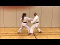 Heian Godan Bunkai 2019