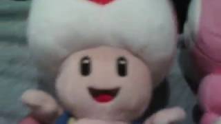 Toad & Toadette WIth The Nights Into Dreams Plush Set