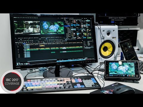 Pluraleyes Для Edius 7