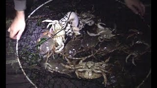 preview picture of video 'Night Crabbing at Newport. how to fish for Dungeness crab'