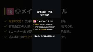 メイショウタバル　宝塚記念　予想