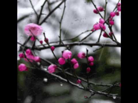 Godhuli Logon with lyrics--Habib feat Nancy