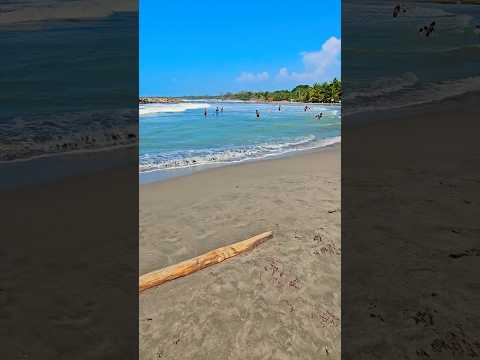 Caribbean Vibes in Arboletes 🇨🇴