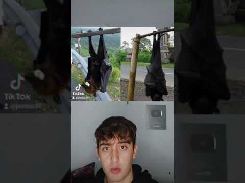Cosas así decían los grandes