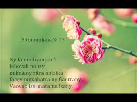 fIhirana ffpm hira  20 Tsaroanay tokoa izao