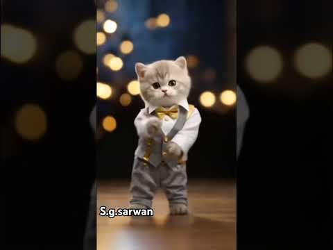 cat best dance 😍#a Meri zohara zabi🥰