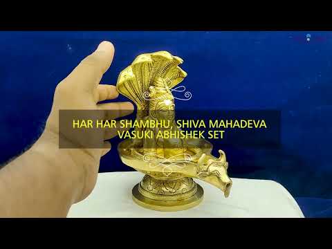 Har Har Shambhu, Shiva Mahadeva Vasuki Abhishek set video