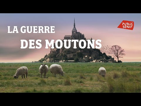 La guerre des moutons