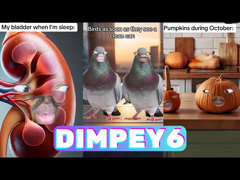 *1 HOUR* New Best Dimpey6 Funny Shorts 2024 - New Funny Tik Tok Memes - TikTok Famous