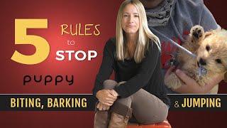 How to Stop Puppy Biting, Barking and Jumping