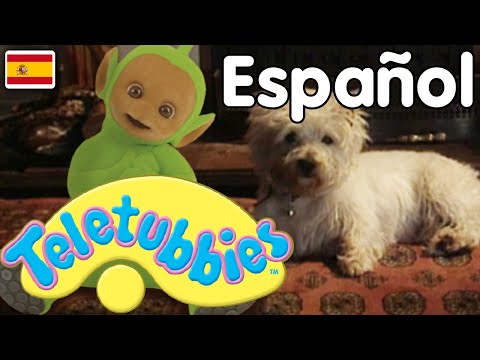 Teletubbies en Español: 219 Capitulos Completos