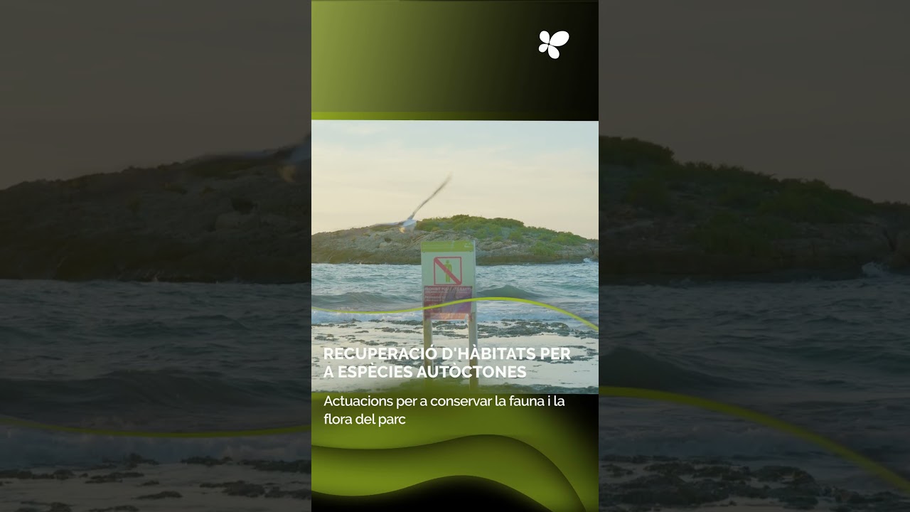 Es Trenc recupera els seus hàbitats i ordena l'ús públic del parc natural