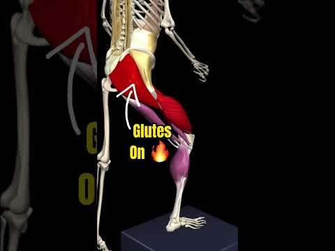 The BEST Exercise For Bulletproof Knees