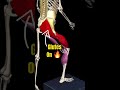 The BEST Exercise For Bulletproof Knees