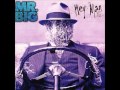 Mr Big - The Chain. 