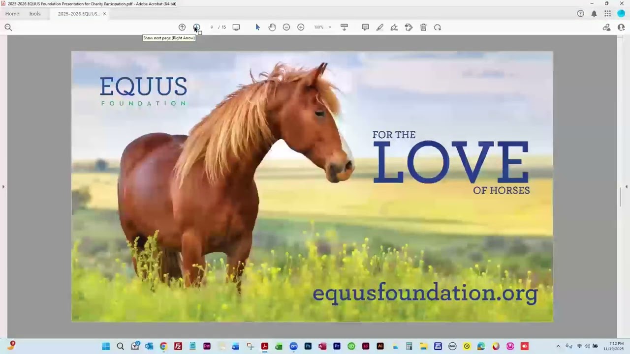 2025 Guardian Webinar