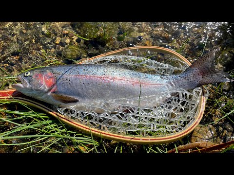 SECRETS To Catching HUGE Trout! Rigging Your Rod / Woolly Buggers