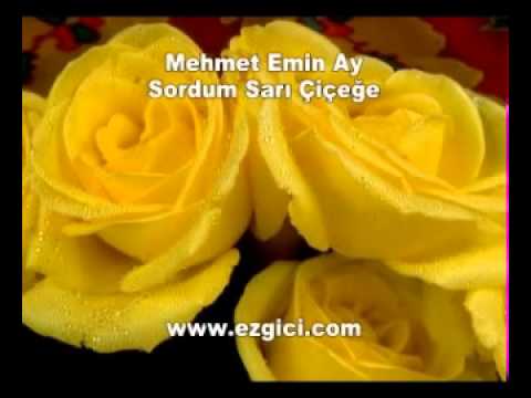 Mehmet Emin Ay   Sordum Sarı Çiçeğe