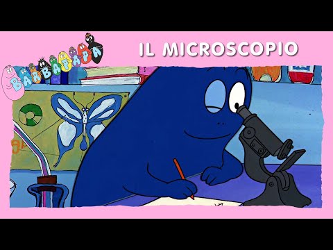 Barbapapà EP19: Il microscopio - EPISODIO COMPLETO (italiano)