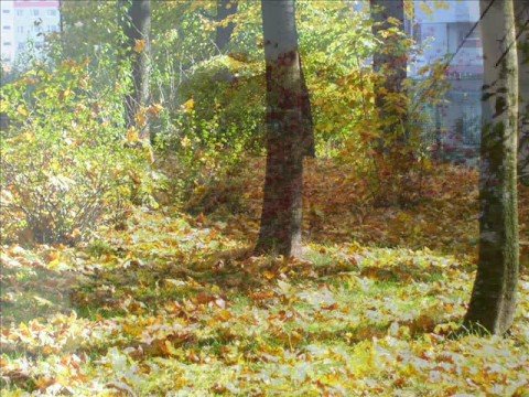 Old Russian tango "Tichij dien ugasal" - Vadim Kozin !