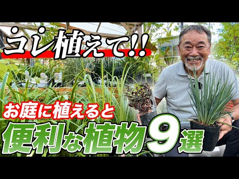 テクスチャーのある石を使用した家の前の外観デザイン