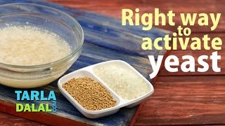 Right Way to Activate the Dry Yeast by Tarla Dalal