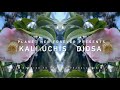 KALI UCHIS - DIOSA - ORQUÍDEAS - TRANSLATED TO ENGLISH LYRIC VIDEO