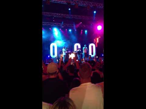 P.E.S. dogo live carroponte