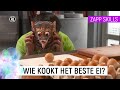 WK FINALE EI KOKEN - SKETCH | Zapp Skills | NPO Zapp