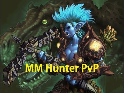 5.4 MM Hunter PvP - Pypo Talks Science - Patch 5.4