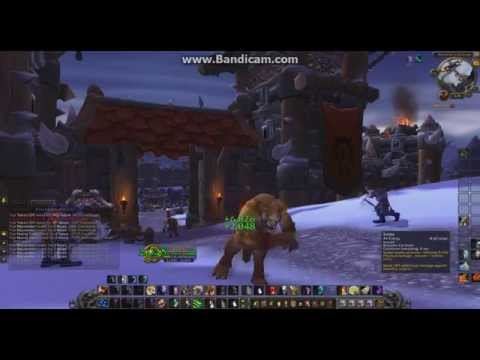 Druid Werecat test video