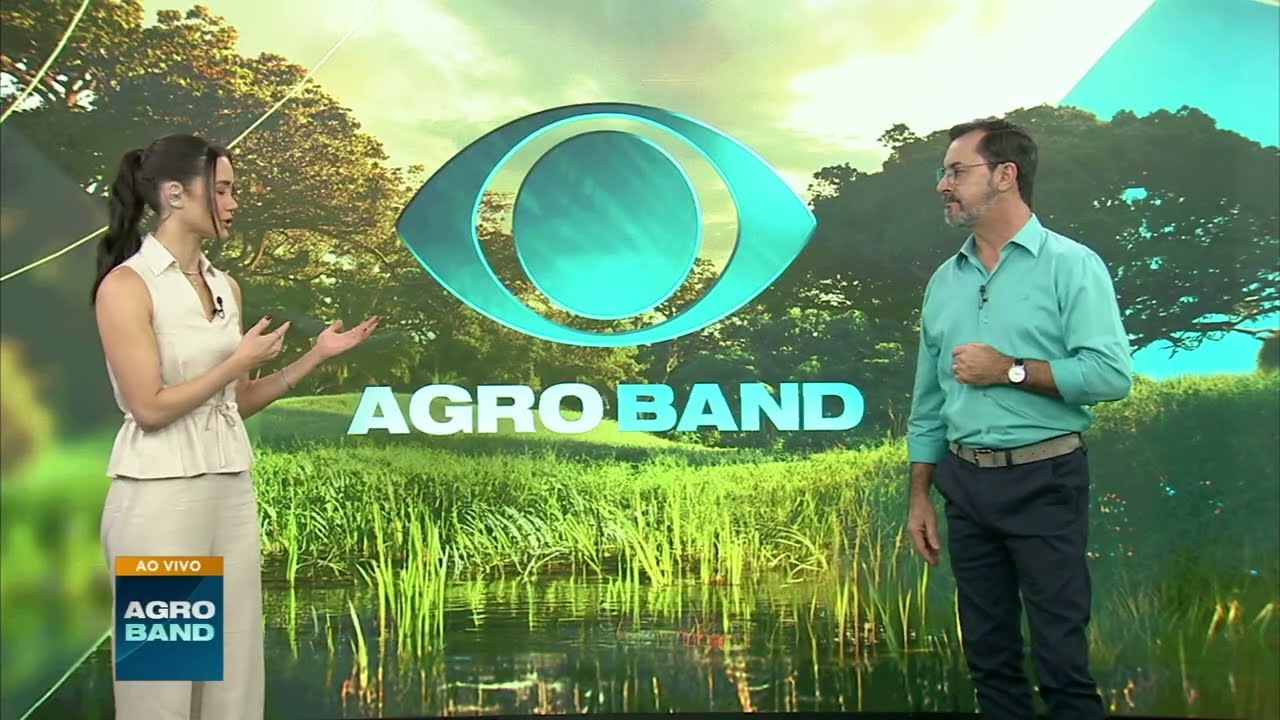 Colheitas de algodão e milho avançam pelo Brasil