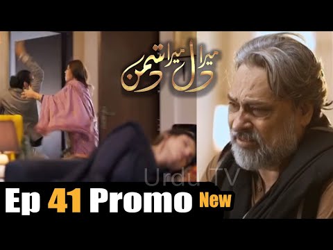 Mera Dil Mera Dushman Episode 41 New Promo|Mera Dil Mera Dushman Episode 41 Teaser | New Promo