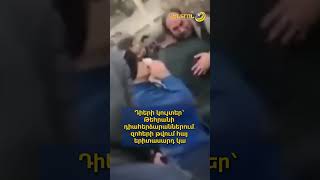 Իրանում հայ երիտասարդ է զոհվել․ դիերի կույտեր՝ Թեհրանի դիահերձարաններում