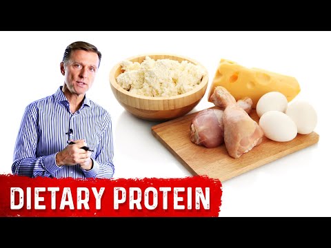 How Much Protein Do You Need – Dr Berg